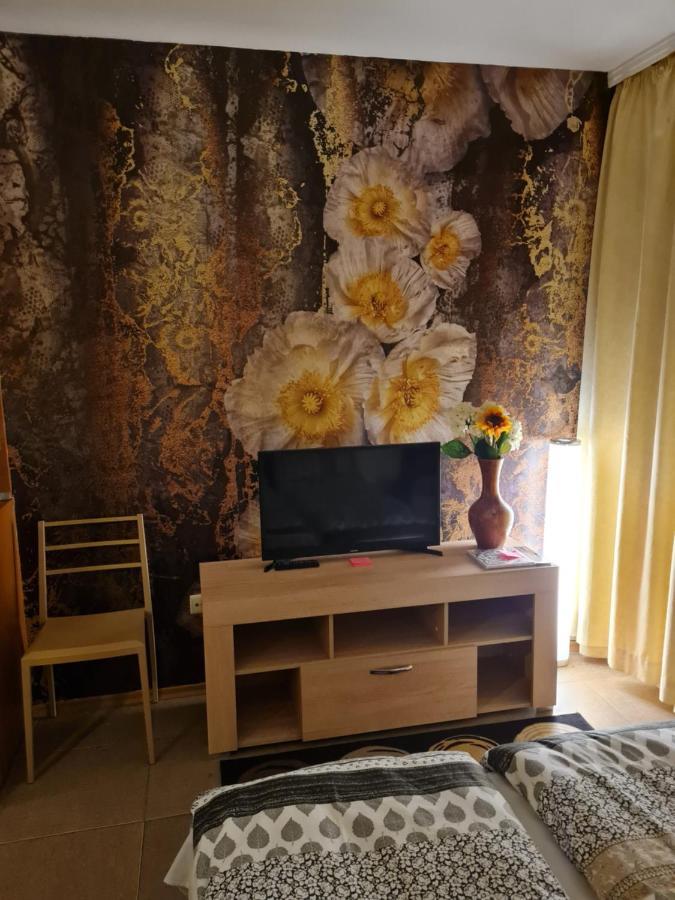 Borovets Holiday Apartments - Different Locations In Borovets Extérieur photo